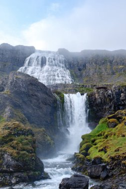 Güçlü su engebeli bir yamaçtan aşağı akar ve çarpıcı bir şelale yaratır. Bereketli yeşillik, İzlanda 'nın Dynjandi şelalesindeki doğal güzelliğini gözler önüne seren kayalık araziye zıt düşüyor.