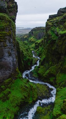 İzlanda 'nın Mulagljufur Kanyonu' ndaki kıvrılan bir nehrin üzerinde görkemli uçurumlar keskin bir şekilde yükselir. yemyeşil yosunlar kayaların oluşumlarını örterek aşağıdaki akan suyla canlı bir kontrast oluşturuyor..
