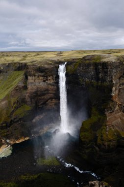 Haifoss şelalesi, İzlanda 'nın canlı yeşil yosunları ve engebeli arazisiyle çevrili yüksek uçurumlardan çarpıcı bir şekilde düşer. Sis yükseliyor, büyüleyici bir atmosfer yaratıyor..