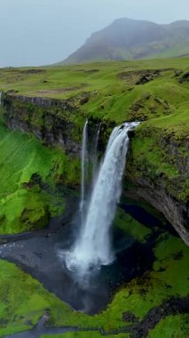 Seljalandsfoss Şelalesinin, İzlanda 'daki yemyeşil kayalıklardan aşağı dökülen nefes kesici güzelliğini tecrübe edin..