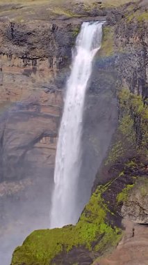 Bereketli yeşilliklerle çevrili engebeli uçurumlardan yuvarlanırken Haifoss Şelalesi 'nin nefes kesici güzelliğini hissedin. İzlanda 'nın güneyine yerleşmiş bu doğa harikası görülmesi gereken bir şey..