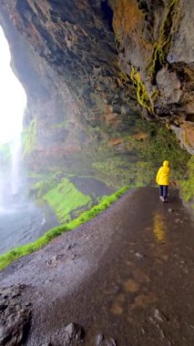 İzlanda 'daki Seljalandsfoss şelalesinin yanında çamurlu bir patika boyunca yürüyen parlak sarı bir ceket giymiş bir gezgin..