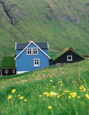 Parlak mavi bir ev, Faroe Adaları 'ndaki yuvarlanan tepeler ve renkli kır çiçeklerinin arasında gururla duruyor. Huzurlu manzara, doğayla uyum içinde geleneksel mimariye bir bakış sunuyor..