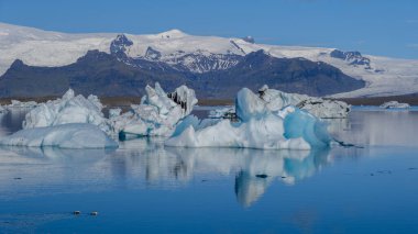 Canlı buzdağları, Jokulsarlon Buzul Gölü 'nün sakin sularında hafifçe sallanır..