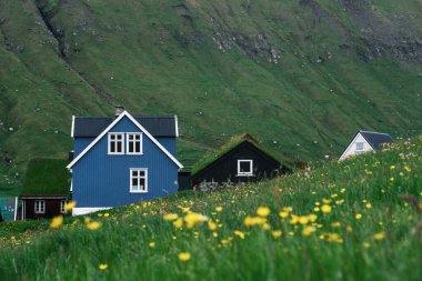 Canlı yeşil tepeler arasında yer alan iki geleneksel evde klasik Faroe Adaları mimarisi sergileniyor. Önplanda parlak çiçekler açar, Elduvik Köyü