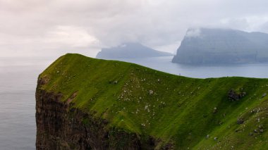 Yeşilliklerle kaplı görkemli uçurumlar okyanustan dramatik bir şekilde yükseliyor ve Faroe Adaları 'nda çarpıcı bir manzara yaratıyor. Kallur Deniz Feneri, Kalsoy Adası