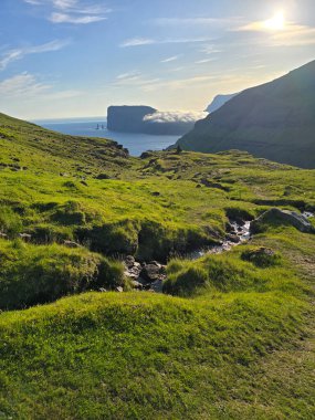 Faroe Adaları 'nın nefes kesen manzarasını keşfedin. Canlı yeşil yamaçlar ve sakin okyanusa bakan çarpıcı bir uçurum oluşumu..