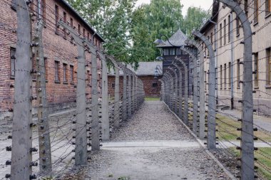 Polonya 'daki Auschwitz Birkenau' da dikenli tellerle kaplı kasvetli bir koridor tarihe yansıyor. Binalar, geçmişteki önemli olayların hatırlatıcısı olarak duruyor..