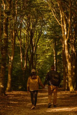 Speulderbos, Veluwe 'de, sonbahar renkleriyle süslenmiş gür ağaçlarla çevrili sakin bir patika boyunca el ele dolaşarak doğada barışçıl ve romantik bir atmosfer yaratır..