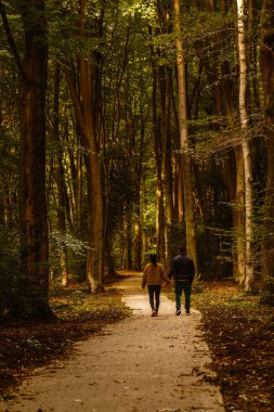 Speulderbos Ormanı, Veluwe 'da sakin bir patika boyunca el ele dolaşırlar. Yeşilliğin zengin sonbahar renkleri sıcak ve davetkar bir atmosfer yaratıyor. Romantik bir gezi için mükemmel..