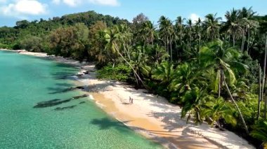 Bir çift, yumuşak kumların turkuaz sularla buluştuğu Koh Kood, Tayland 'ın sakin plajlarını keşfediyor. Palmiye ağaçları rüzgarda hafifçe sallanarak huzur veren bir cennet yaratıyor..
