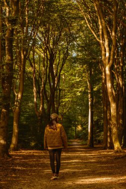 Dünyaca ünlü Speulderbos ormanında barışçıl bir yürüyüş gerçekleşiyor. Altın sonbahar yaprakları, bir insan sarmal yolda yürürken görkemli ağaçlarla çevrili sıcak bir atmosfer yaratır..
