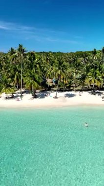 Discover a breathtaking beach in Koh Kood, Thailand, where soft white sand meets vibrant turquoise water. Enjoy the serene beauty and lush palm trees under a clear blue sky.