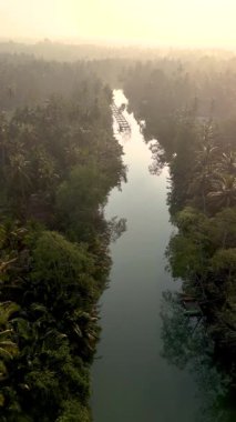 This captivating view showcases a tranquil river winding through lush greenery in Thailand. The soft golden light of dawn emphasizes the natural beauty of the landscape, inviting calm and serenity.