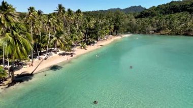 Discover the serene beauty of Koh Kood Thailand with crystal-clear waters and swaying palm trees. A perfect spot for relaxation and enjoying the tropical paradise that attracts visitors year-round.