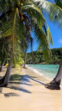 Experience the serene beauty of Koh Kood, Thailand, where golden sands meet crystal-clear waters. Lush palm trees sway gently under a bright blue sky, creating a peaceful escape.