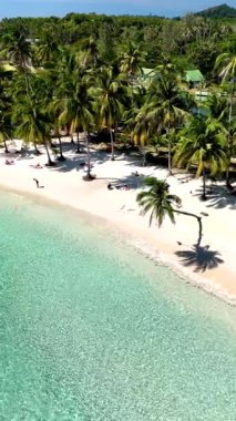 Experience the serene beauty of Koh Kood in Thailand, showcasing pristine white sands and swaying palm trees along the tranquil coastline. Perfect for relaxation and nature lovers.
