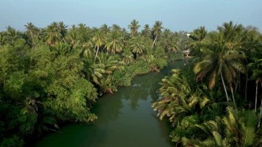 Experience the enchanting beauty of Thailands landscapes with vibrant palm trees lining a serene river. Immerse yourself in natures tranquil setting, ideal for relaxation and exploration.