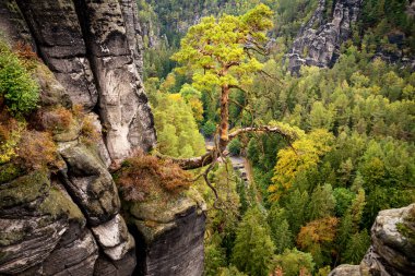 Dresden ve Elbe nehri kıyısındaki Saksonya, Almanya 'daki ulusal park Sakson İsviçre' deki Kurort Rathen köyü yakınlarındaki Bastei kumtaşı sütunları üzerinde panoramik kuş manzarası