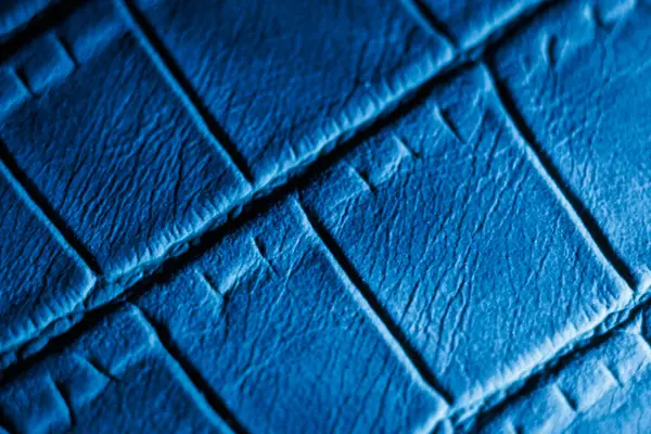 Koyu mavi tonlarda timsah derisinin makro dokusu