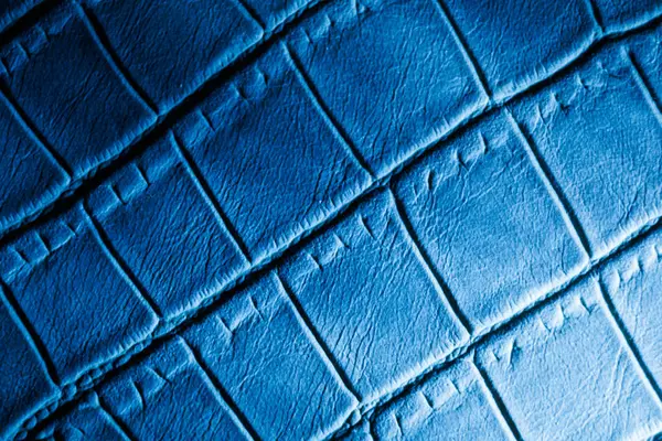Koyu mavi tonlarda timsah derisinin makro dokusu