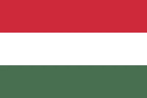 Hivatalos Nemzeti Magyarország Zászló Háttér — Stock Vector