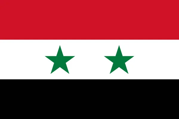 Fondo Nazionale Ufficiale Della Siria — Vettoriale Stock