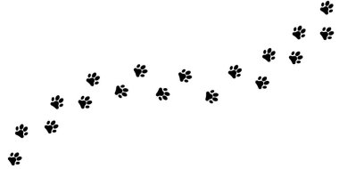 Paw yazdırma hayvanları ikon arkaplan