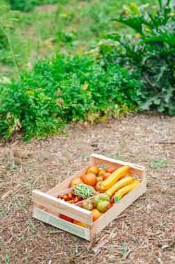Yeşil arka planda bir kutuda taze sebzeler
