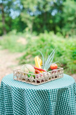 meyve ve sebzeli piknik masası