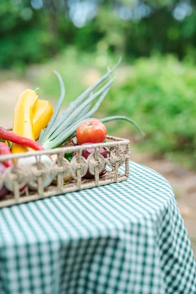 picnic basket with fresh vegetables and fruits on the background of the garden