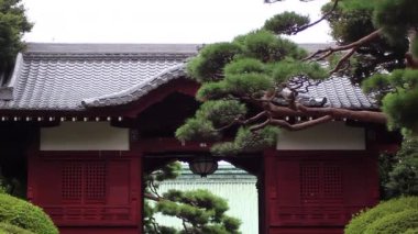 Gokokuji Budist Tapınağı 'nın ana girişi. Güzel eski kırmızı kapı. Tokyo manzarası. Japonya