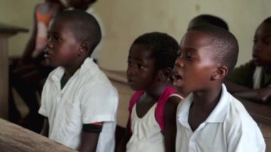 Batata, Ekvator Ginesi - Eylül 2024: Afrika 'da kırsal bir okulda çocuklar. Afrikalı okul çocukları bir sınıftaki ahşap masalarda oturur ve öğretmenden sonra kelimeleri tekrar ederler..
