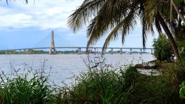 Modern bir kablo destekli köprü Mbini Nehri 'nin vahşi hayatıyla çelişmektedir. Litoral Eyaleti, Ekvator Ginesi, Afrika.                             