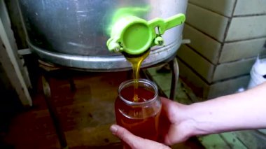 Taze hasat edilmiş, kehribar balı arıdaki bir varilden temiz bir cam kavanozu doldurur. Bal üretimi