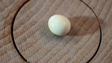 Soya fasulyesi dokusuna yakın çekim. Tahta yüzeyde tek soya fasulyesi