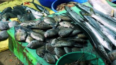 Hint Balık Pazarı 'nda taze balık avı seçimi. Çeşitli deniz ürünleriyle birlikte balık tezgahı. Hindistan 'da egzotik deniz ürünleri pazarı