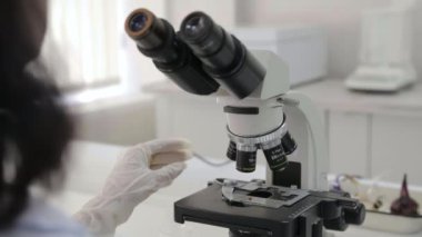 Mikroskop Altında Örnek İnceleme: Laboratuvarda Mikroskop ile çalışan bilim adamı. Bilimsel çalışma.