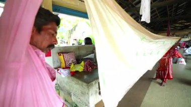 Hindistan 'da sonsuz yeşil pirinç tarlası gün ışığında uzanıyor. Genç pirinç filizleri toprağı eşit bir şekilde kaplayarak verimli, parlak yeşil bir yüzey oluşturur.. 