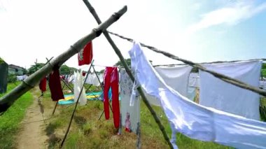 Hindistan 'da sonsuz yeşil pirinç tarlası gün ışığında uzanıyor. Genç pirinç filizleri toprağı eşit bir şekilde kaplayarak verimli, parlak yeşil bir yüzey oluşturur.. 