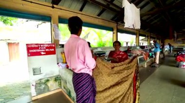 Hindistan 'da sonsuz yeşil pirinç tarlası gün ışığında uzanıyor. Genç pirinç filizleri toprağı eşit bir şekilde kaplayarak verimli, parlak yeşil bir yüzey oluşturur.. 