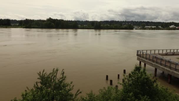 Κίτρινος Ποταμός Στον Καναδά Πλωτά Κούτσουρα Συννεφιασμένη Ημέρα — Αρχείο Βίντεο