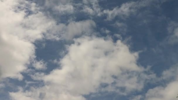 Nimbostratus雲は青い空の上にカメラに向かって4Kの動きをタイムラプス — ストック動画