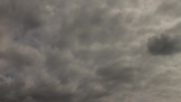 Nubes Altocumulus Gris Timelapse Día Nublado Canadá — Vídeo de stock