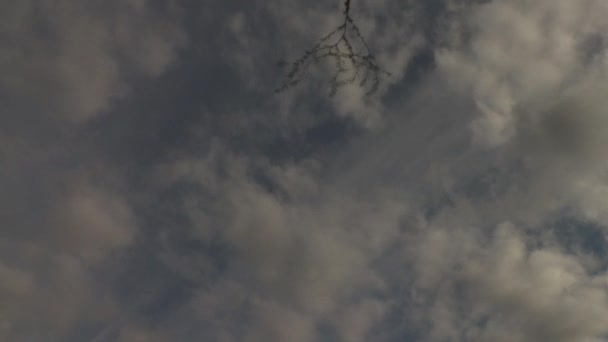 Mozgó Stratocumulus Felhők Időzítése Esténként — Stock videók