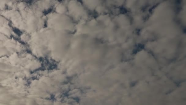 Moving Right Bottom Top Left Cirrocumulus Clouds Timelapse — Stock Video