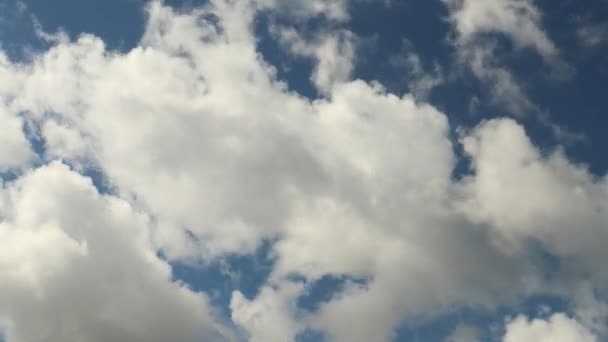 Nubes Estratocumulus Blanco Esponjoso Timelapse Sobre Cielo Azul Claro — Vídeos de Stock