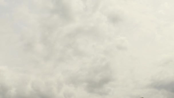 Dichte Grijze Altostratus Wolken Timelapse — Stockvideo