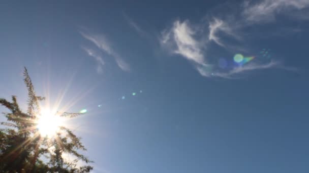 Güneş Bir Ağacın Arkasından Lensleri Bulutları Olan Bir Ağaçtan Geliyor — Stok video