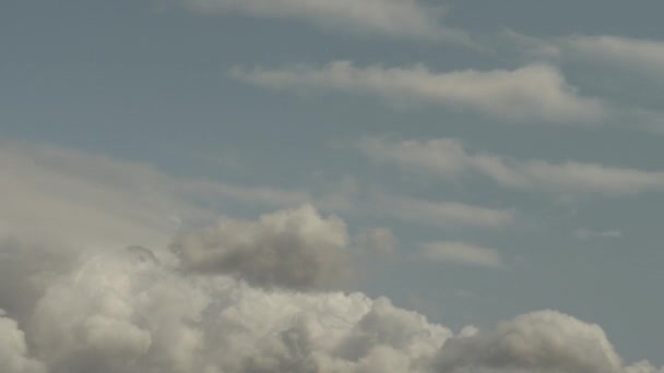 Membangun Awan Cumulus Langit Abu Abu Terang Tilapse — Stok Video